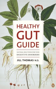 Healthy Gut Guide Jill Thomas